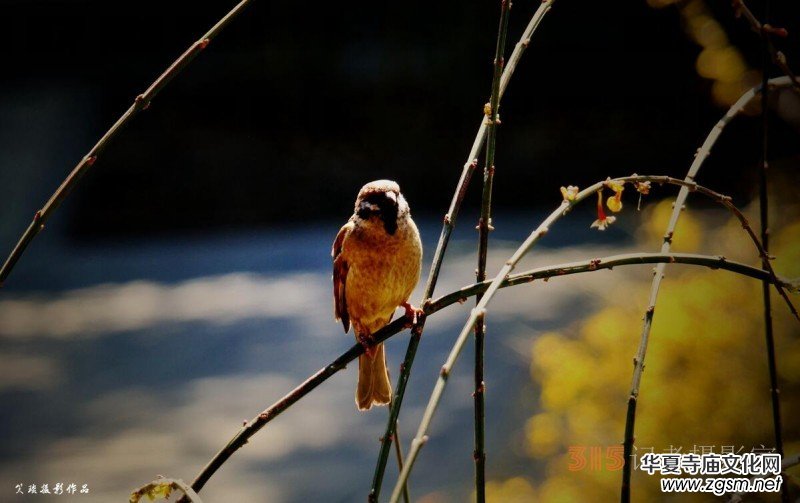 �����N����Ц���z