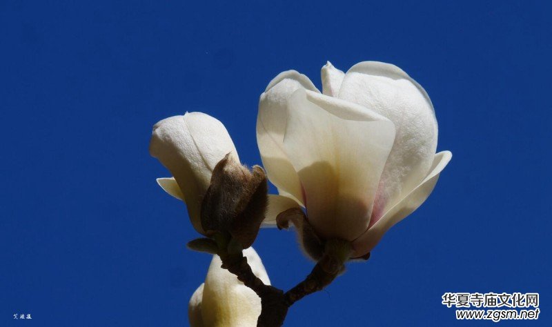 �����N����Ц���z