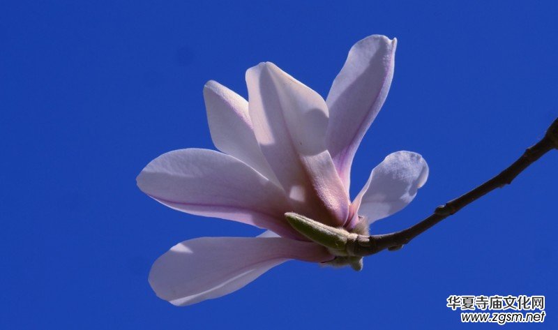 �����N����Ц���z