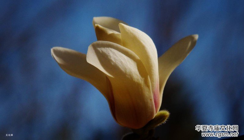 �����N����Ц���z