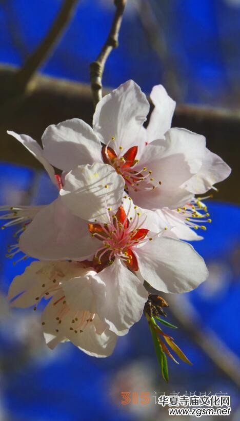 �����N����Ц���z