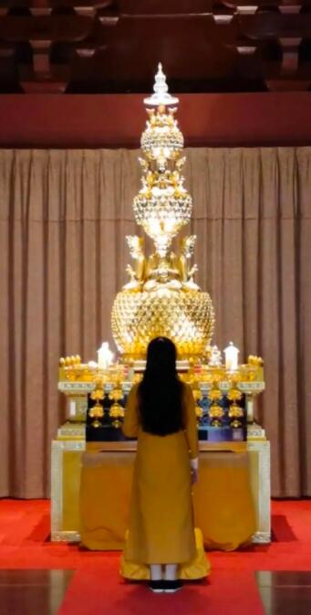 ���й�������(j��ng)�������oؐ�~�潛(j��ng)