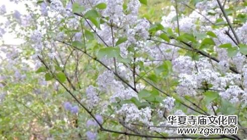 李月禪詩選登 李月禪詩選登