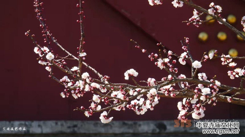 李月禪詩選登 李月禪詩選登