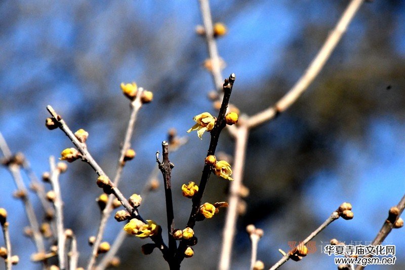 李月禪詩選登 李月禪詩選登