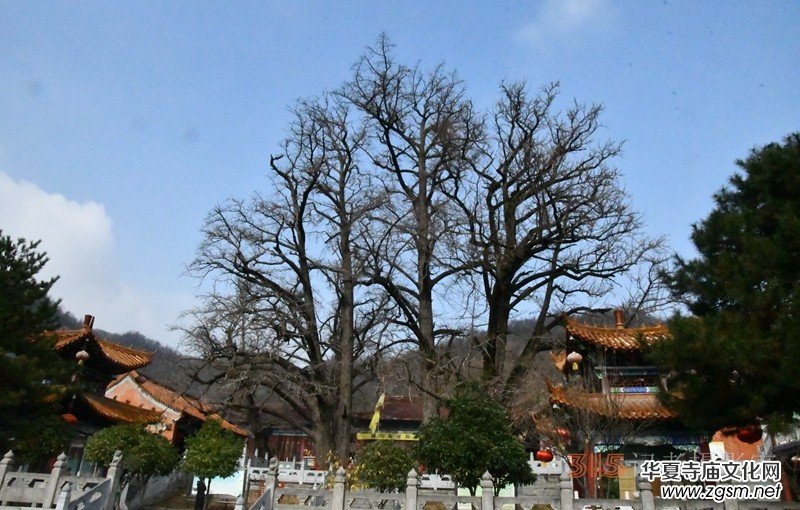 李月禪詩選登 李月禪詩選登