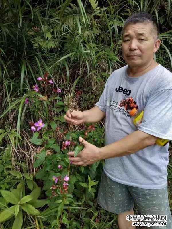 �߼�����䯟���ҷ�����