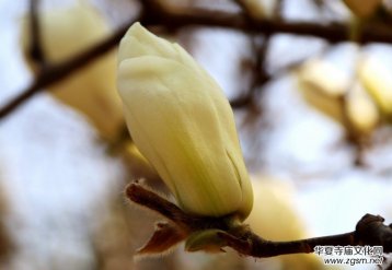 315ӛ�ߔzӰ�����������ܔzӰ��Ʒ