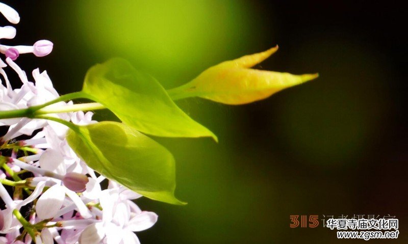 �������ć�(gu��)�W(xu��)Ժһ�е���Դ���p����Ԋ(sh��)�~��(sh��)��(hu��)����