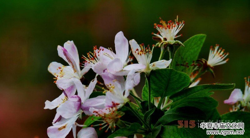 �������ć�(gu��)�W(xu��)Ժһ�е���Դ���p����Ԋ(sh��)�~��(sh��)��(hu��)����