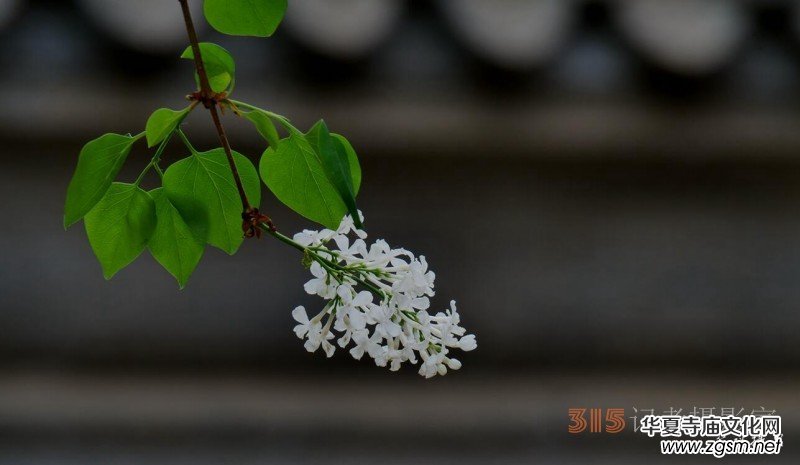 �������ć�(gu��)�W(xu��)Ժһ�е���Դ���p����Ԋ(sh��)�~��(sh��)��(hu��)����