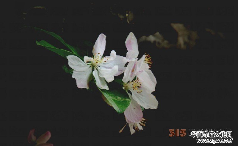 �������ć�(gu��)�W(xu��)Ժһ�е���Դ���p����Ԋ(sh��)�~��(sh��)��(hu��)����