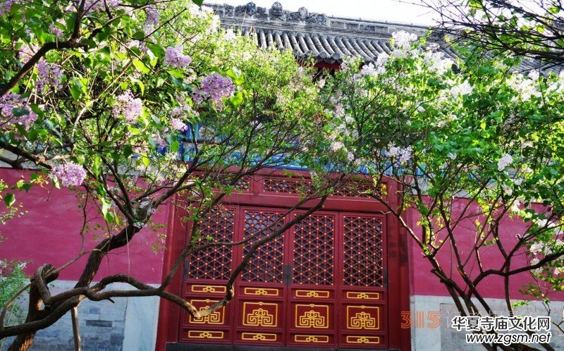 �������ć�(gu��)�W(xu��)Ժһ�е���Դ���p����Ԋ(sh��)�~��(sh��)��(hu��)����