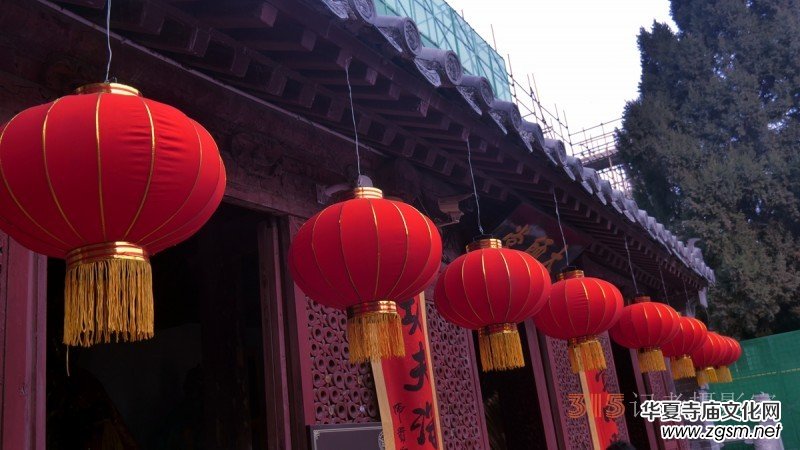 “辰龍鬧春”——紅紅火火的紅燈籠 “辰龍鬧春”——紅紅火火的紅燈籠