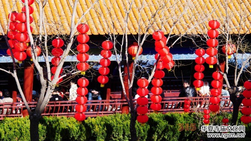 “辰龍鬧春”——紅紅火火的紅燈籠 “辰龍鬧春”——紅紅火火的紅燈籠