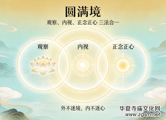 Ц���������S�X�ѣ��^�� ��(n��i)ҕ �������ġ��n���v��